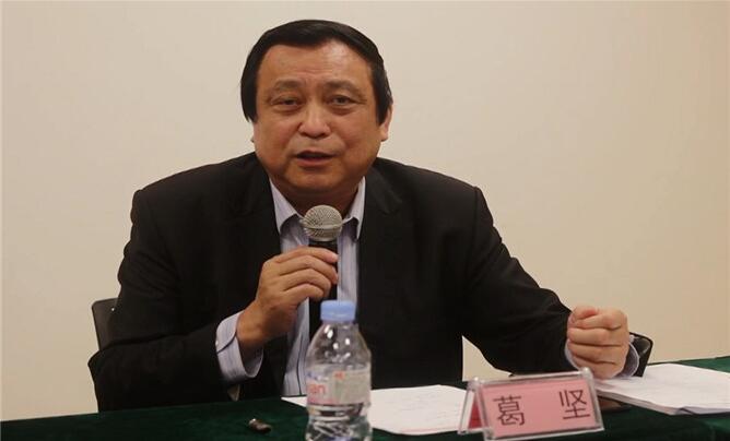 眼科学国家重点实验室终身名誉主任葛坚教授在会上发言
