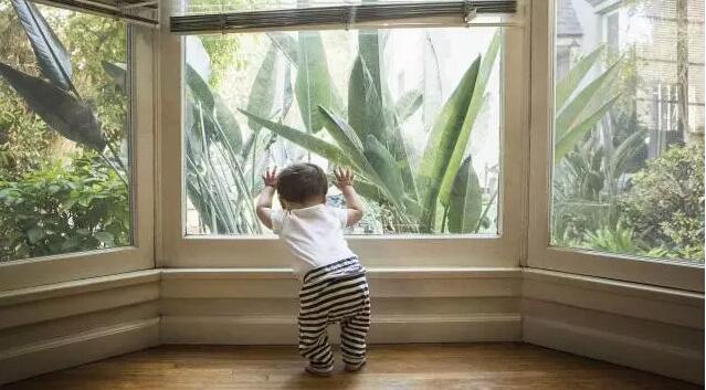 小孩看绿色植物