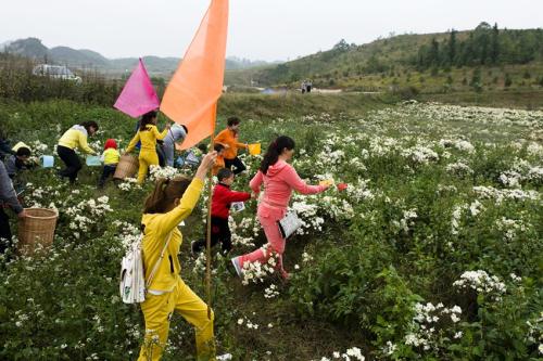 户外登高活动