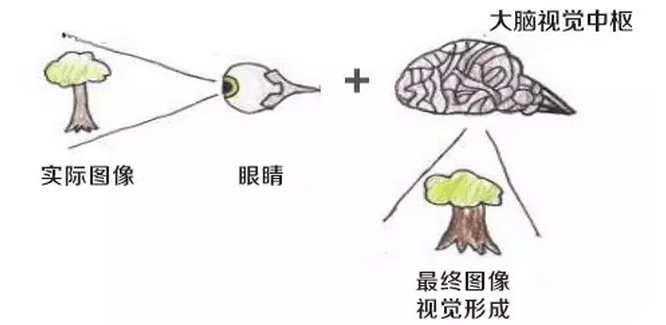 弱视眼睛成像